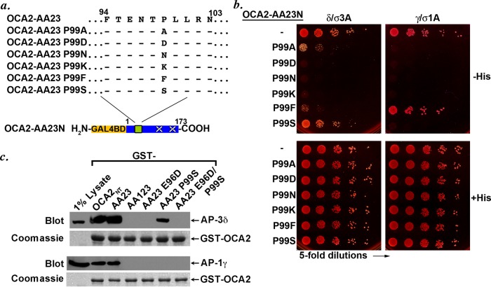 FIGURE 5: