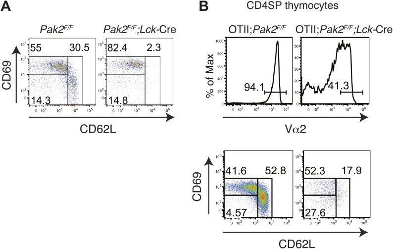 Figure 4—figure supplement 1.