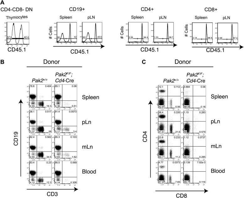 Figure 1—figure supplement 2.