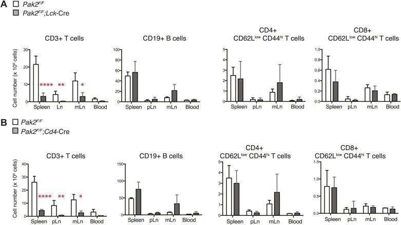 Figure 1—figure supplement 1.