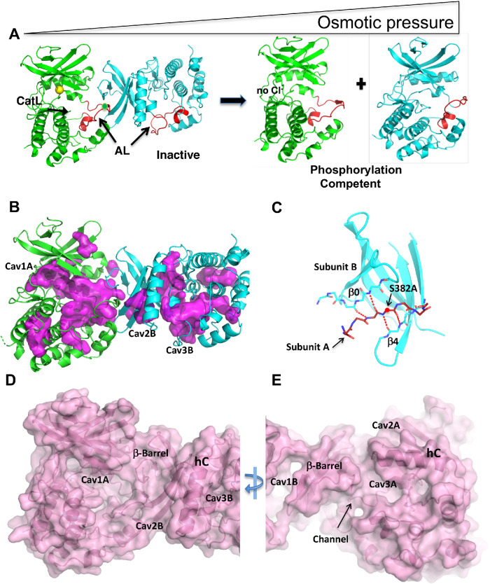 FIGURE 4: