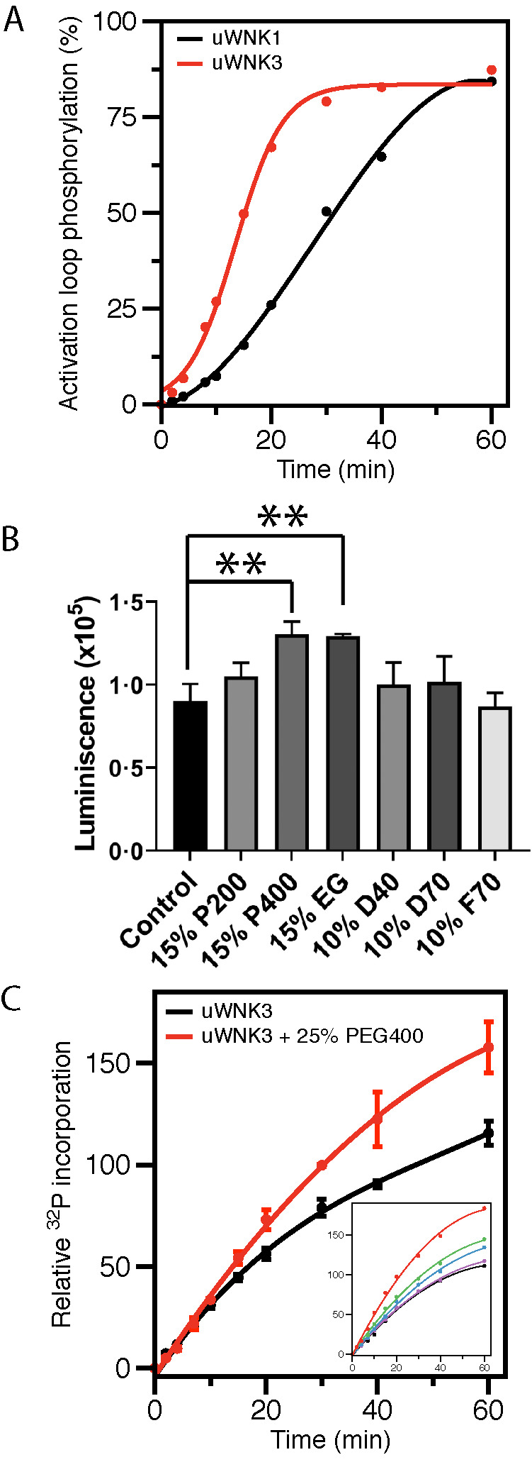 FIGURE 1: