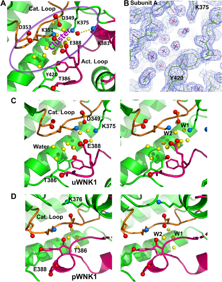 FIGURE 5: