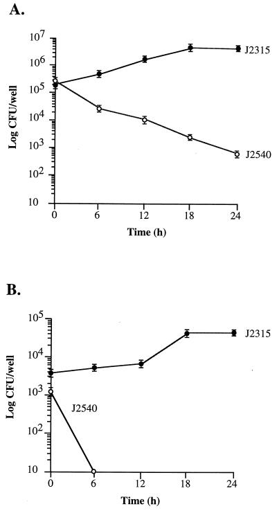 FIG. 1