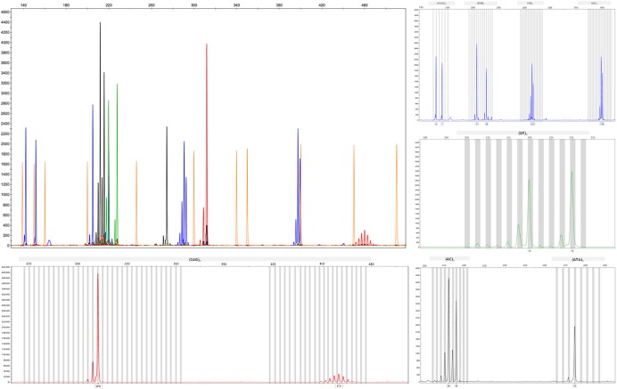 FIGURE 3