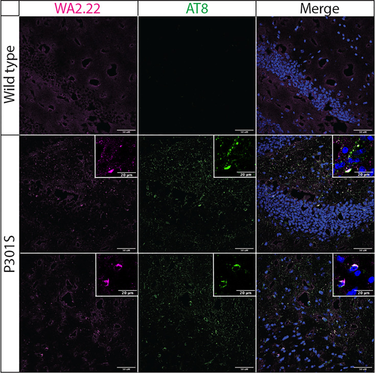 Figure 4