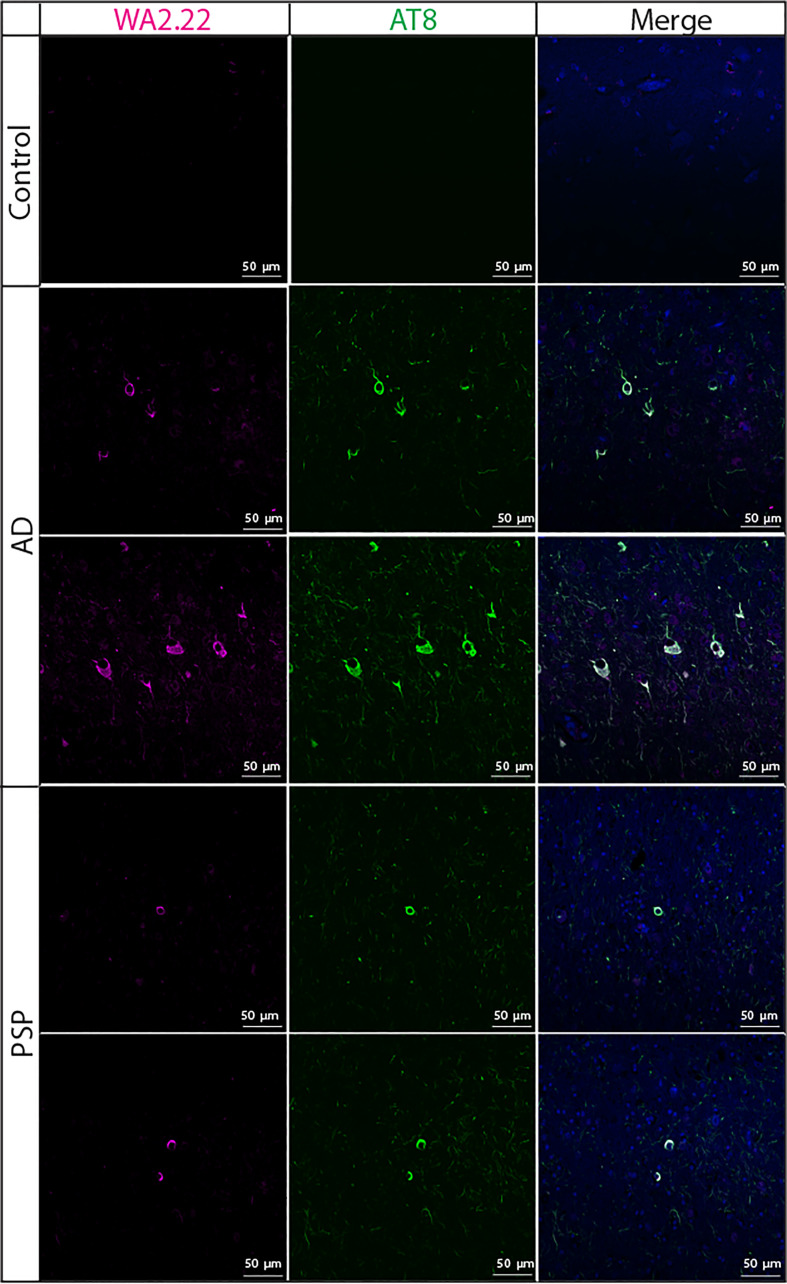 Figure 5