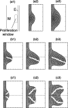 Fig. 10