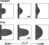 Fig. 9