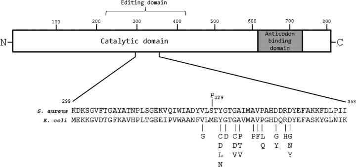 FIG 1