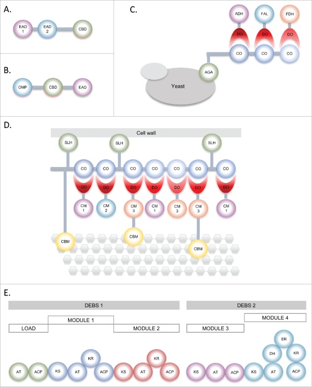 Figure 1.