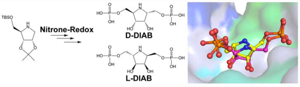 graphic file with name nihms-1034043-f0010.jpg