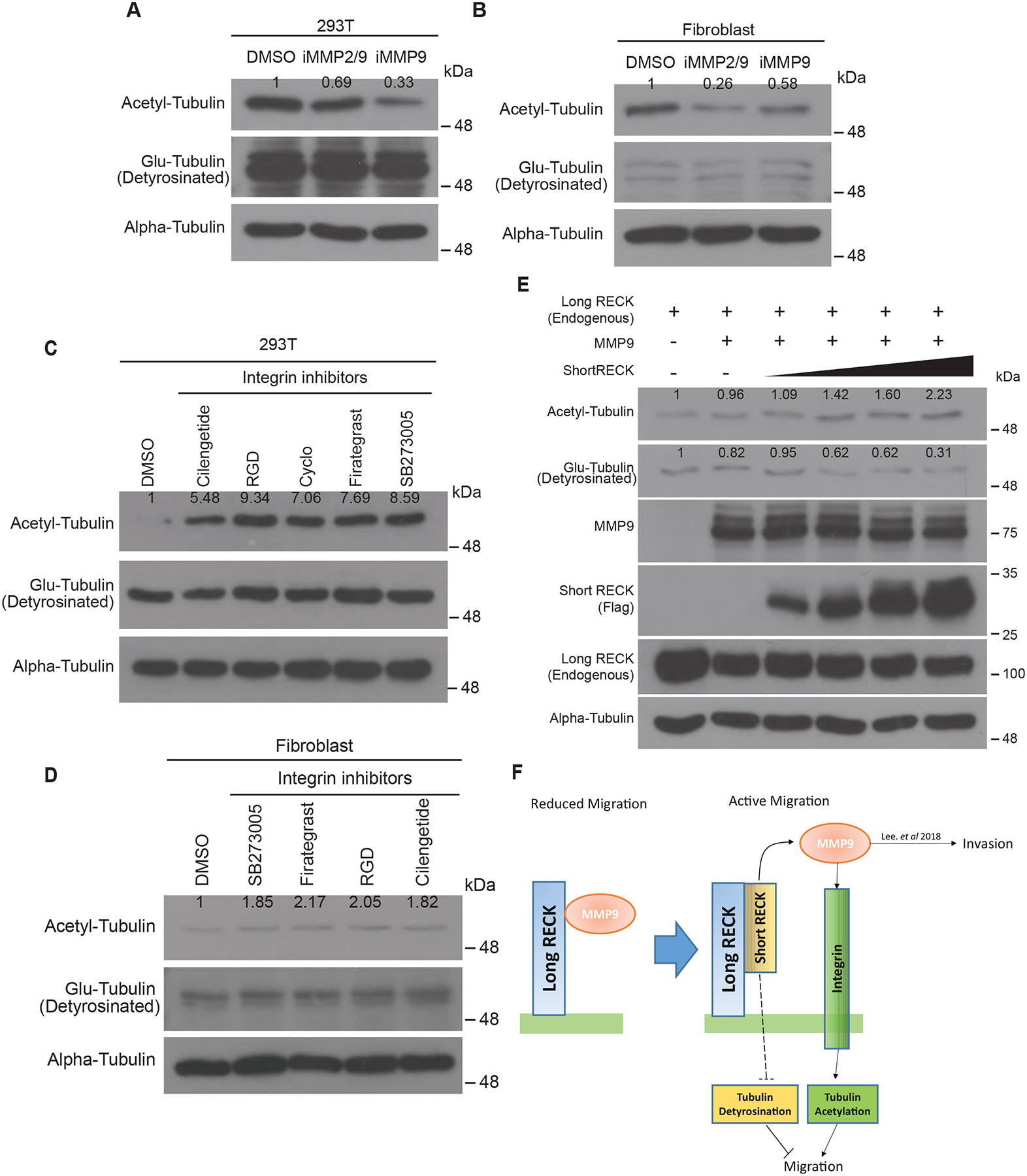 Fig. 4: