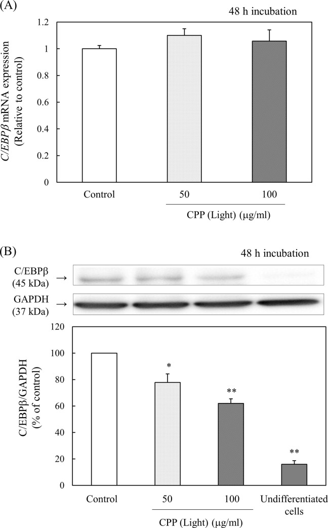 Fig 11