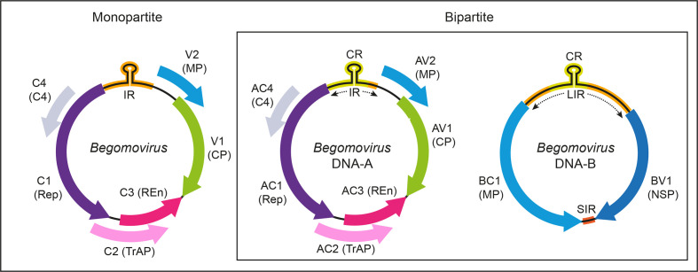 Fig. 2.