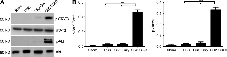 Figure 9.