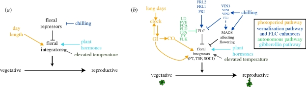 Figure 2.