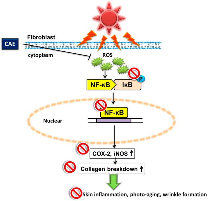 Figure 21