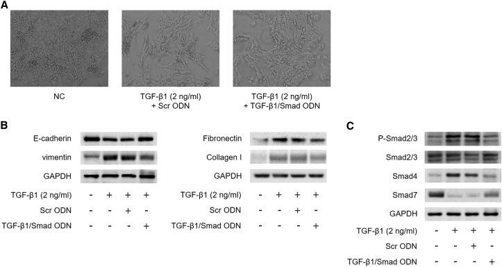 Figure 4