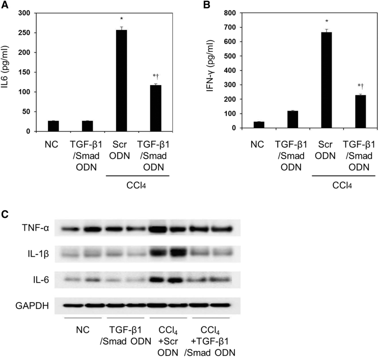 Figure 7