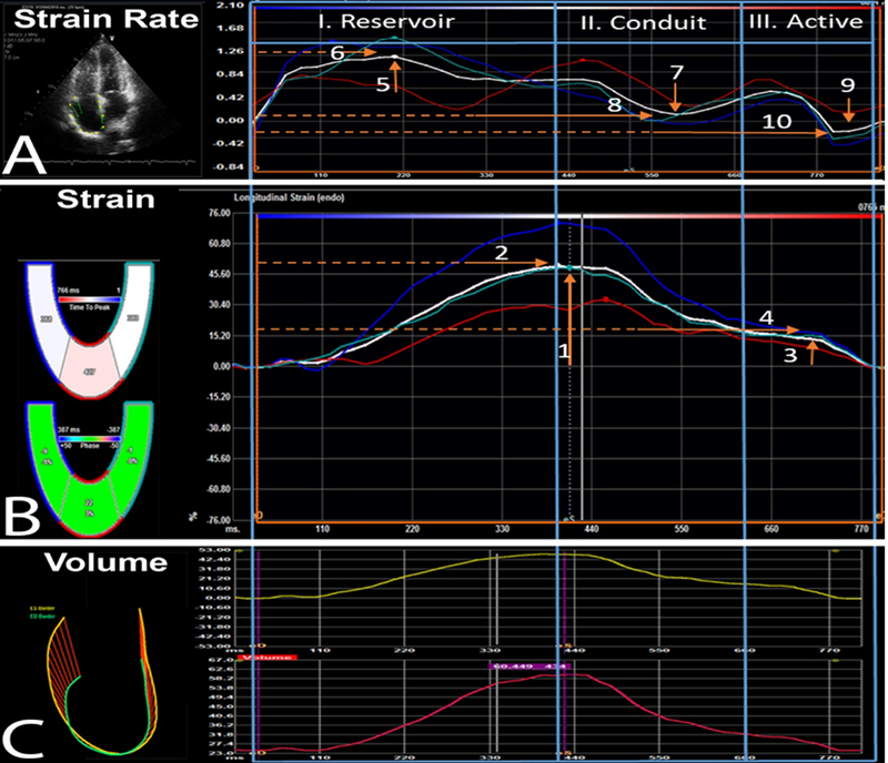 Figure 1: