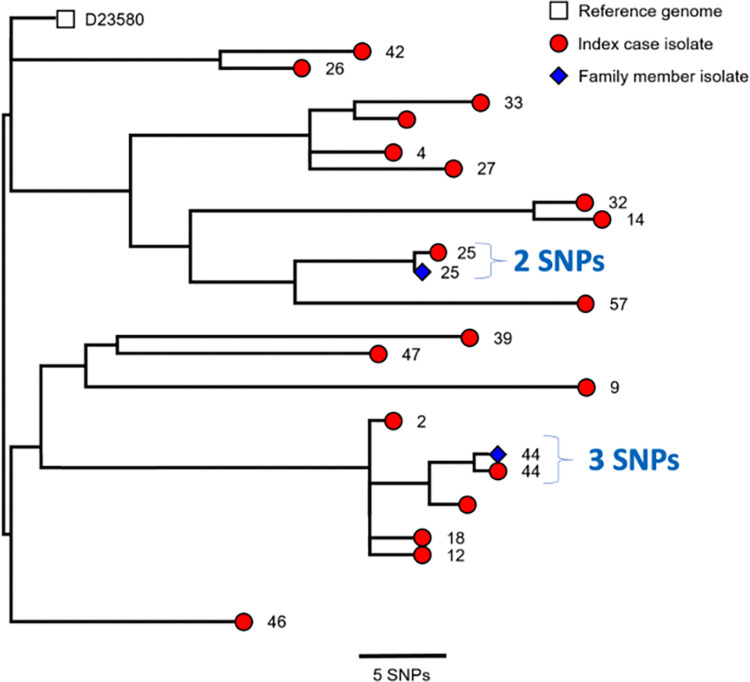 Fig 3