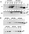 FIG. 7