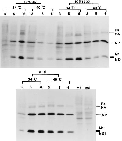 FIG. 5