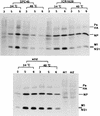 FIG. 5