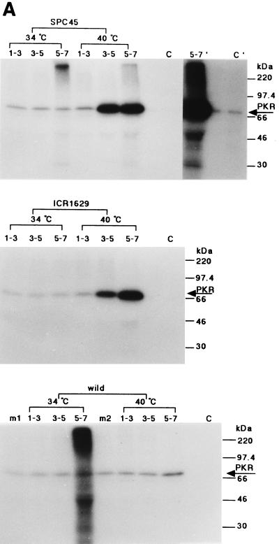 FIG. 6