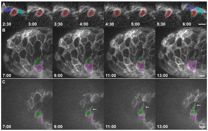 Fig. 4.