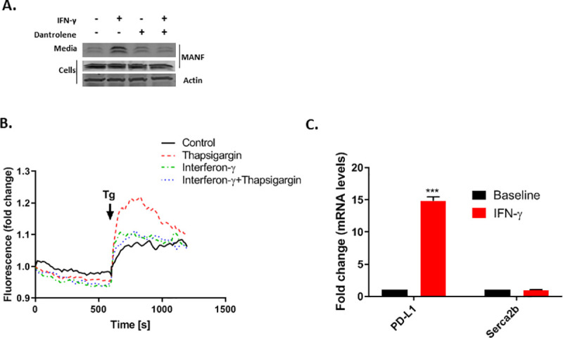 Fig 4