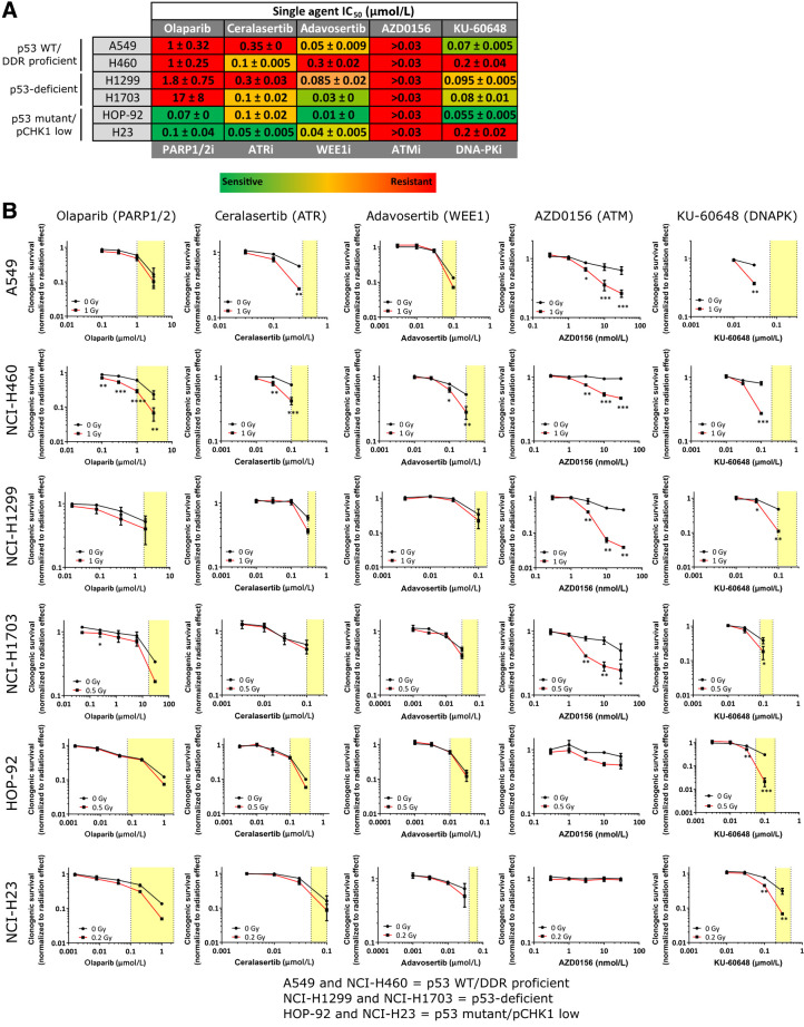 Figure 3. Determination of sensitivity of cell lines to DDRi as single agent and in combination with radiotherapy. A, Table depicting IC50 concentrations of DDRi across cell lines as determined by clonogenic assay. Values are the average of two representative experiments with the standard error of the mean indicated. Lowest most sensitive IC50 for a particular drug are in green and highest most resistant in red. B, Clonogenic survival (normalized to untreated DMSO controls of the respective radiotherapy treatment) of cell lines in response to increasing concentrations of DDRi alone (black line; 0 Gy) or after radiotherapy at the indicated radiotherapy dose (red line). Yellow boxes indicate the single-agent IC50 to IC90 concentration range required to inhibit clonogenic survival in micromolar (μmol/L) or nanomolar (nmol/L) concentrations. Graphs represent the medians of two independent experiments performed in triplicate, with error bars representing upper and lower limits. Statistical significance was tested using a two-way ANOVA where *, P < 0.05; **, P < 0.01; ***, P < 0.001.