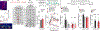 Extended Data Figure 6.