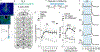 Extended Data Figure 1.