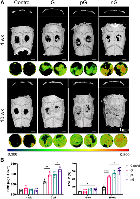 Fig. 7.
