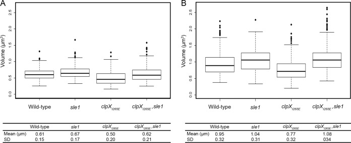 FIG 4