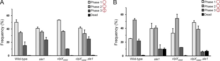 FIG 2