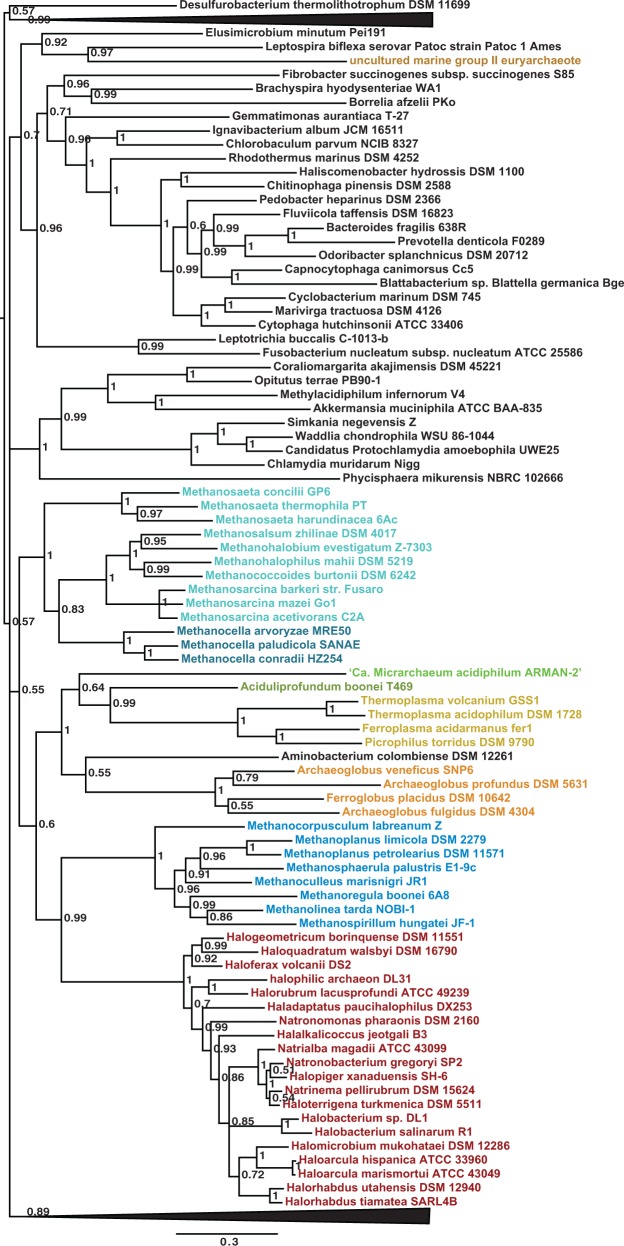 Fig. 7.—