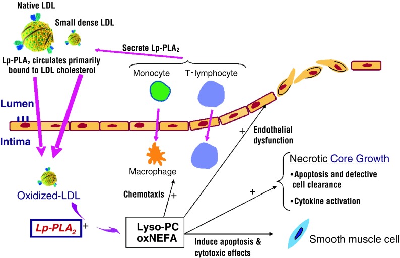 Fig. 1