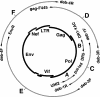 FIG. 2.