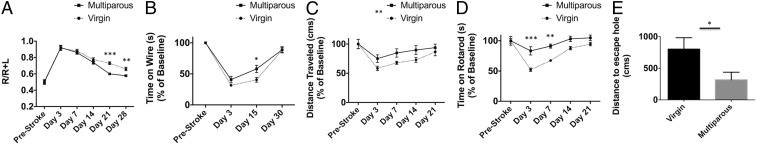 Fig. 6.