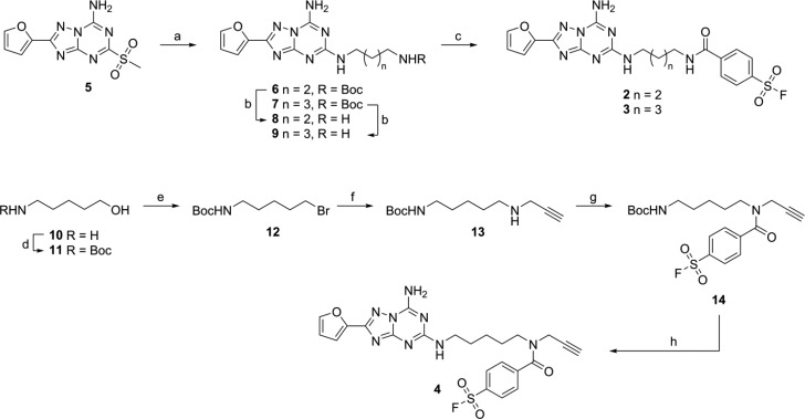 Scheme 1