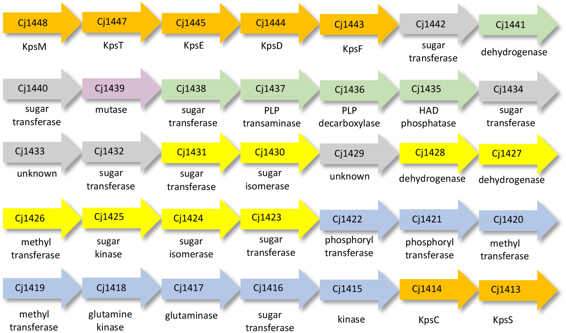 Figure 2: