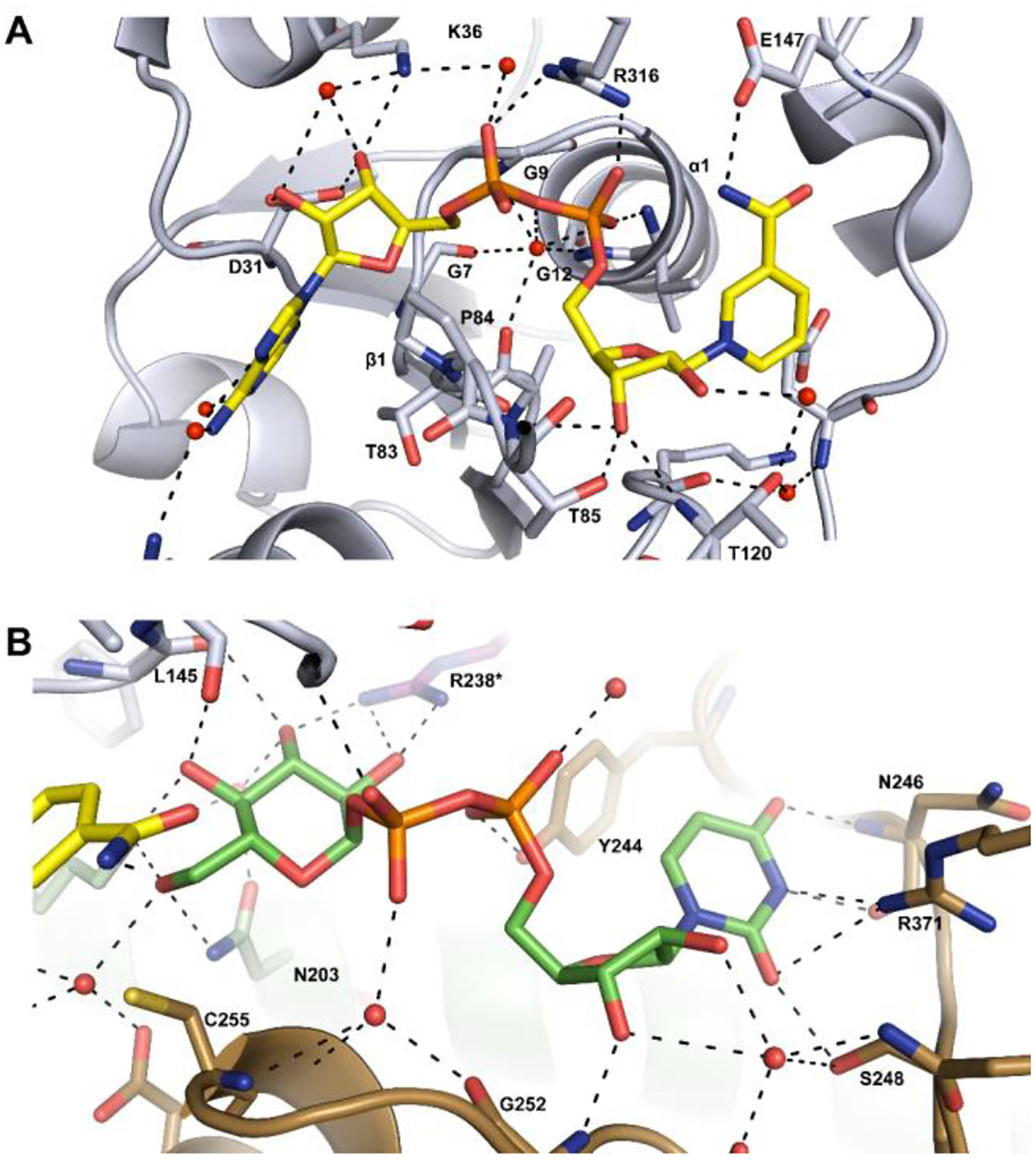 Figure 6.