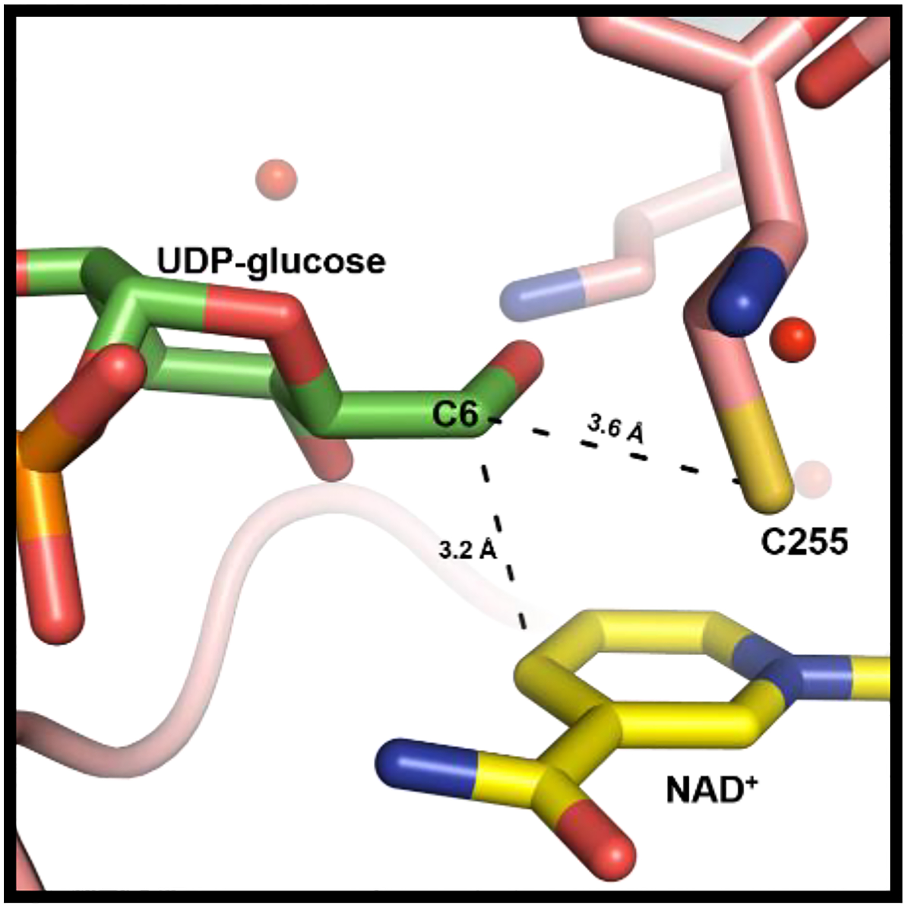 Figure 7.