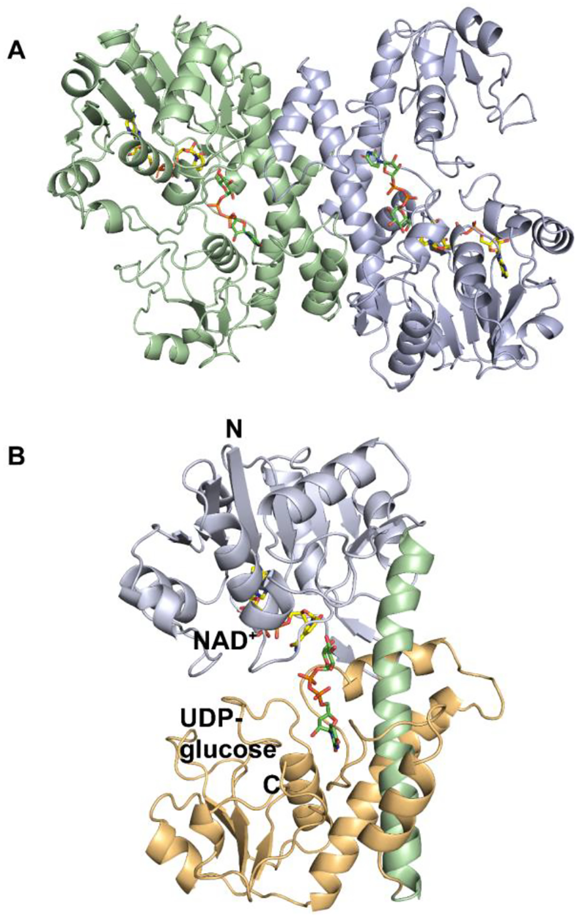 Figure 5.