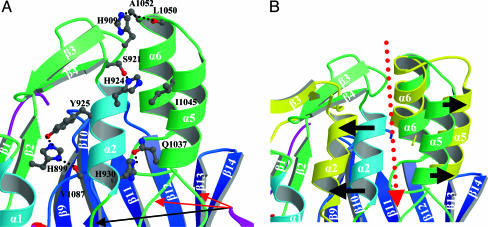 Fig. 3.