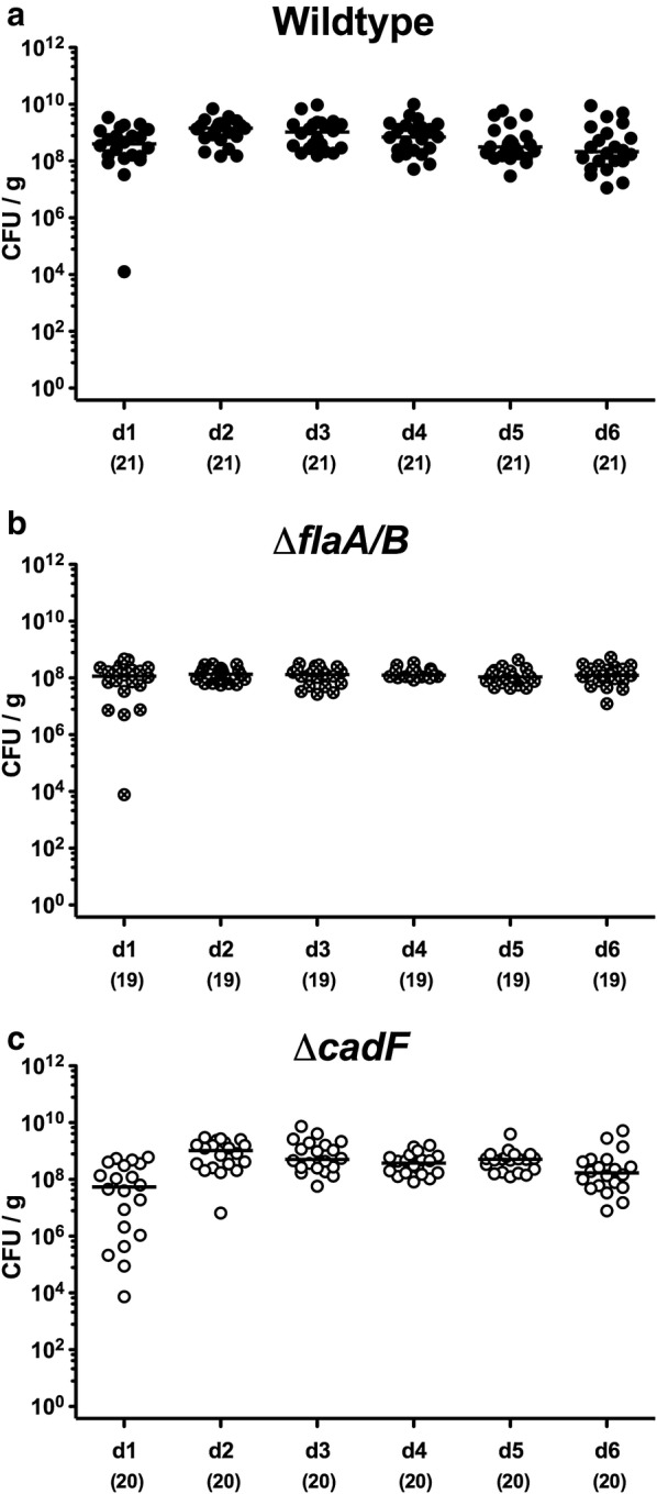 Fig. 1