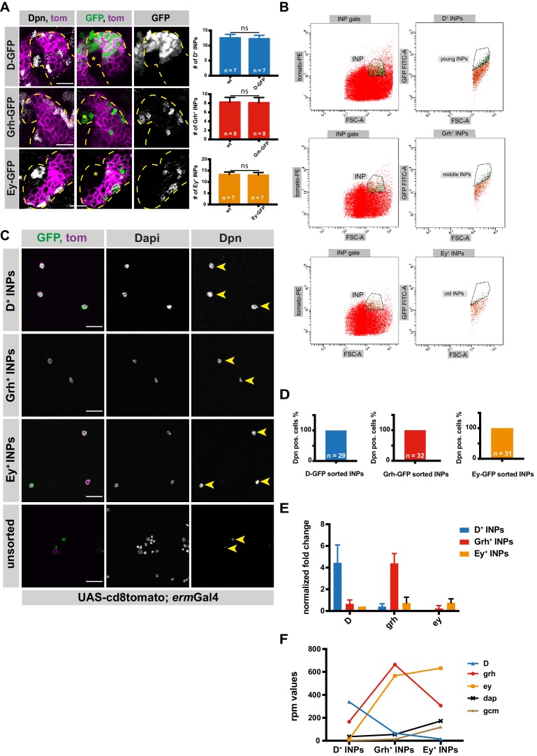 Figure 1—figure supplement 1.